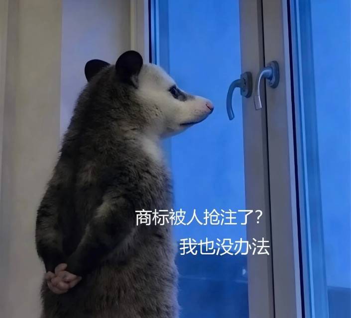戢珍阳